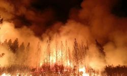 ¿Cómo se originan los incendios forestales?